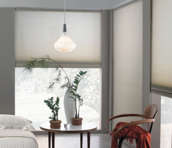 roller shades in Phoenix home